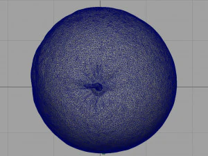 pomarańczowy Model 3D