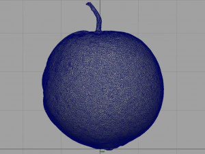 pomarańczowy Model 3D