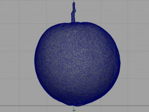 pomarańczowy Model 3D