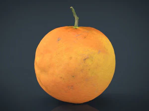 pomarańczowy Model 3D