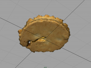 danish butter cookie 1 3D मॉडल