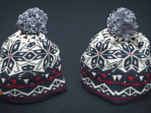 sombrero de invierno 3 Modelo 3D