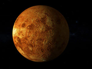 venus 3D Model
