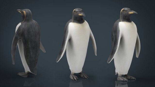 penguin Modelo 3D .c4d .max .obj .3ds .fbx .stl .blend 