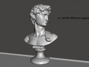 david bust for 3d print 3d print model 3D प्रिंट मॉडल