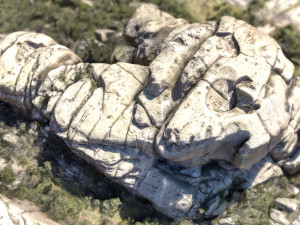 mountain rocks 9 Model 3D