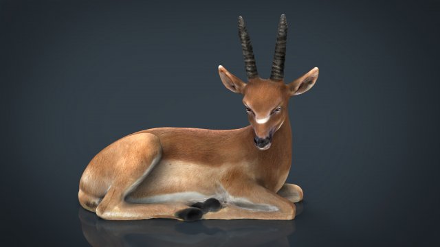 african antelope 3D मॉडल .c4d .max .obj .3ds .fbx .stl .blend 