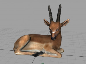 african antelope 3D मॉडल