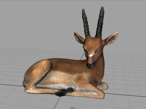 african antelope 3D Model
