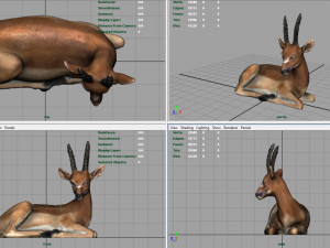 african antelope 3D मॉडल