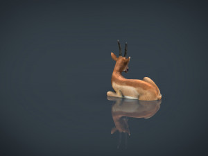 african antelope 3D मॉडल