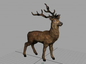cervo realista Modelo 3D