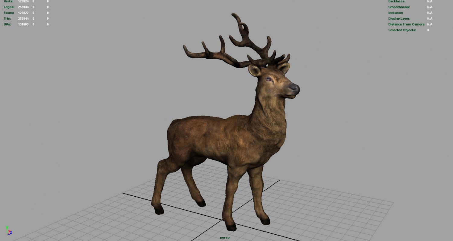 wallpapers Deer 3D View Camera realistic deer 3d model in deer 3dexport