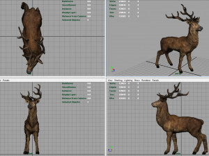 realistic deer 3D 모델