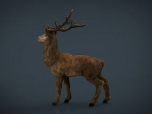 realistic deer 3D 모델