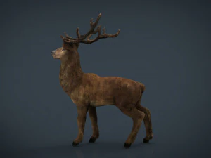 cervo realista Modelo 3D