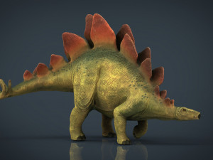 stegosaurus 3Dモデル