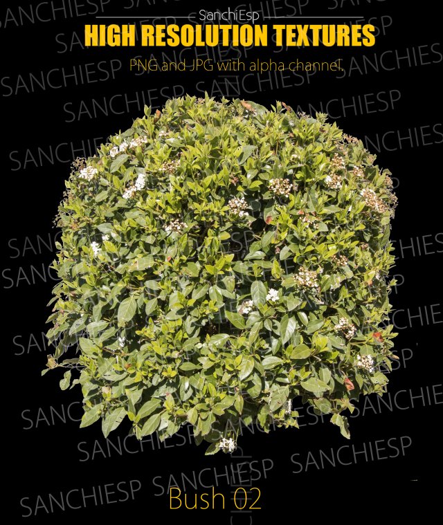 bush 02 texture CG Textures .c4d .max .obj .3ds .fbx .stl .blend 