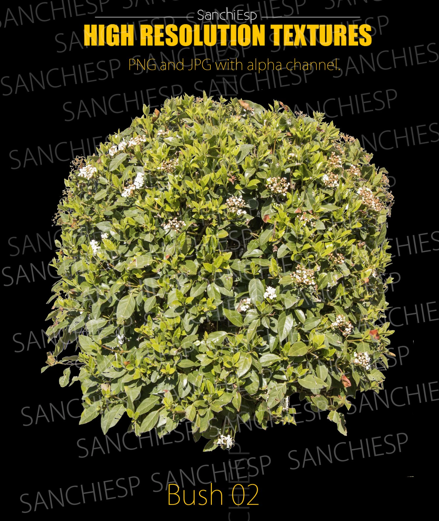bush 02 texture CG Textures .c4d .max .obj .3ds .fbx .stl .blend 