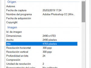 树春天01纹理 CG 纹理