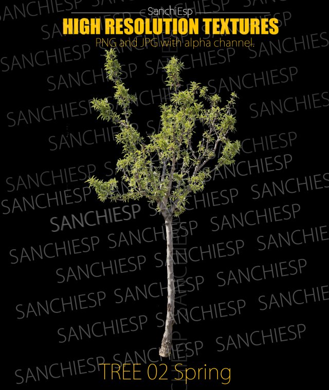 tree 02 spring texture CG Textures .c4d .max .obj .3ds .fbx .stl .blend 