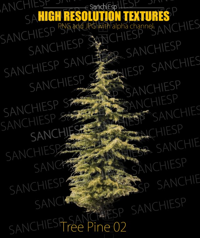 tree pine 02 CG Textures .c4d .max .obj .3ds .fbx .stl .blend 