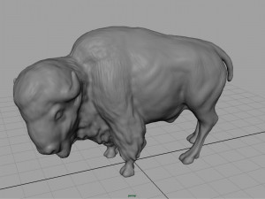 american bison Modelo 3D