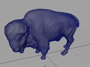 american bison Modelo 3D