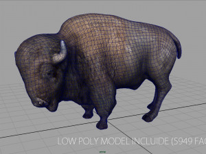 american bison Modelo 3D