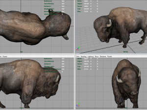 american bison Modelo 3D