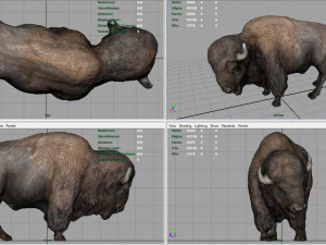 bisonte americano Modelo 3D