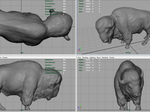 american bison Modelo 3D