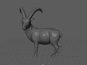 wild goat 3D Model