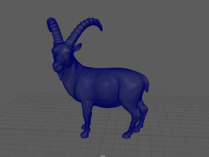 wild goat 3D Model