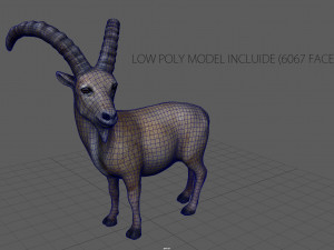 wild goat 3D Model