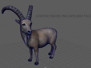wild goat 3D Model