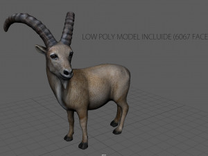 wild goat 3D Model