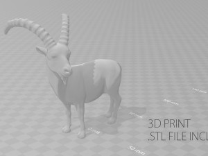 wild goat 3D Model