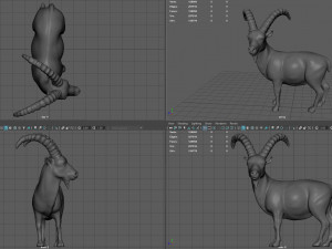 wild goat 3D Model