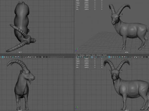 wild goat 3D Model