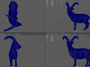 wild goat 3D Model