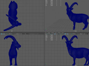 wild goat 3D Model