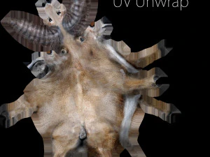 wild goat 3D Model