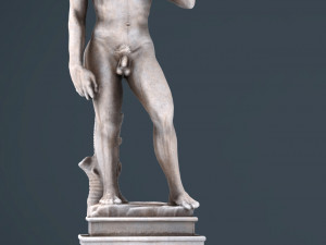 david michelangelo Modelo 3D