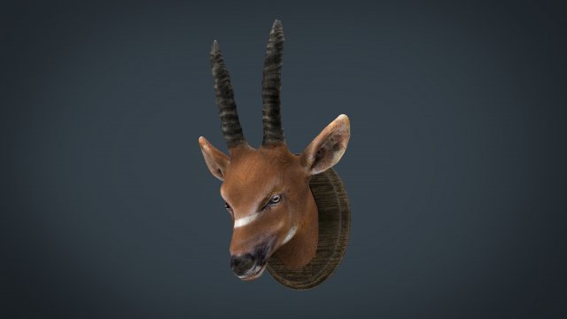 african antelope mount 3D 模型 .c4d .max .obj .3ds .fbx .stl .blend 