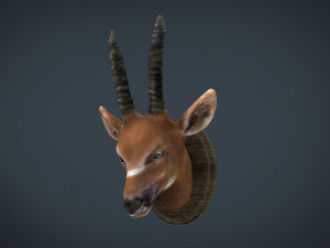 african antelope mount 3D-Modell