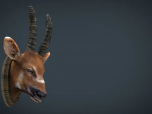 african antelope mount 3D Model