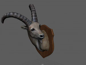 wild goat trophy 3D Model