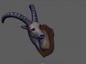 wild goat trophy Modèle 3D