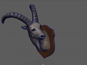 wild goat trophy 3D Model